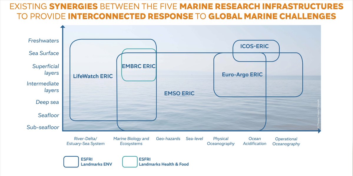 Strategy European Marine Research Infrastructures