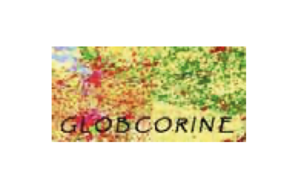 Globcorine