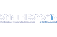 SYNTHESYS+
