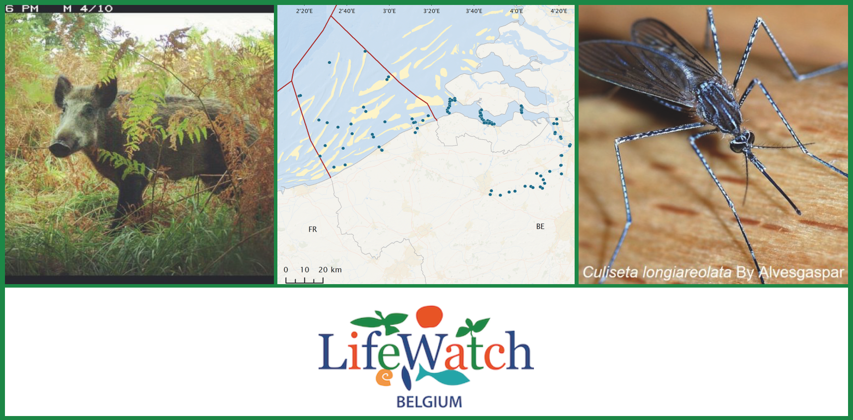 LifeWatch Belgium News