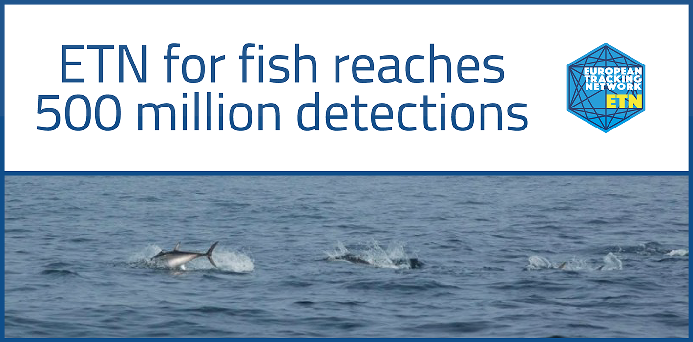 European Tracking Network for fish reaches 500 million detections