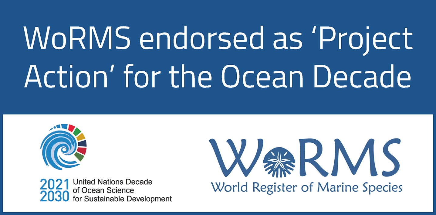 WoRMS endorsed as 'Project Action' for the Ocean Decade