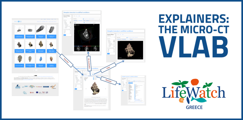 Explainers: the Micro-CT vLab