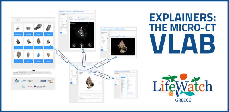 Micro-CT vLab