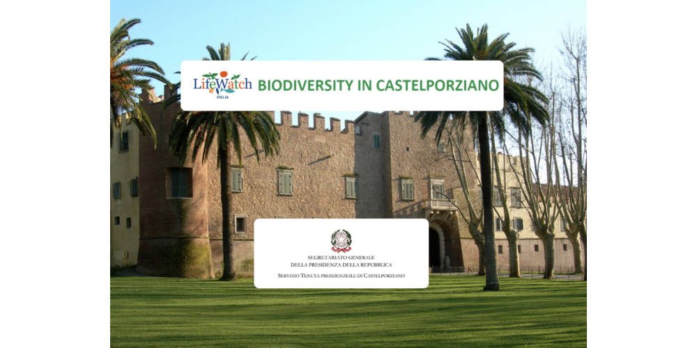 biodiversity_castel
