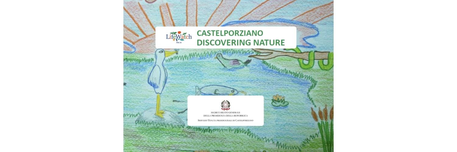 nature_castel