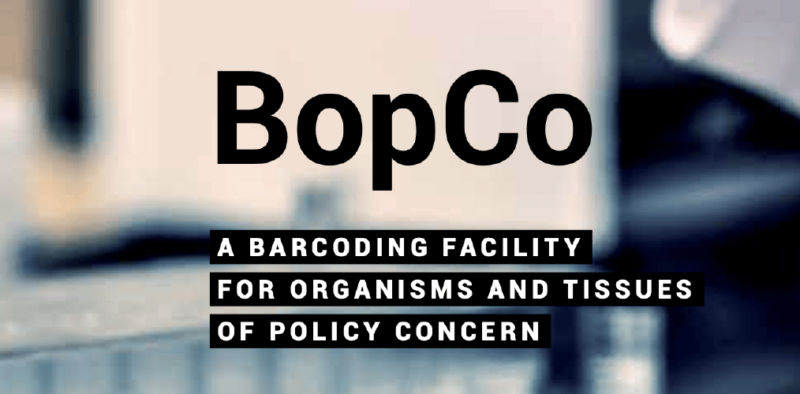 Hiring: Scientific Collaborator for BopCo project ￼
