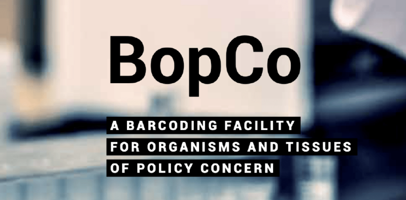 BopCo