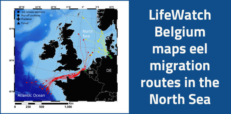 Mapping Eel Migration Routes