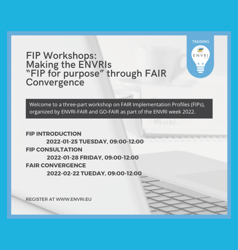 FIP Workshops