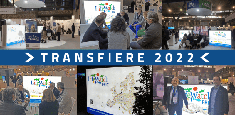 Transfiere 2022