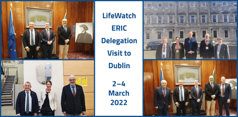 LifeWatch ERIC Dublin