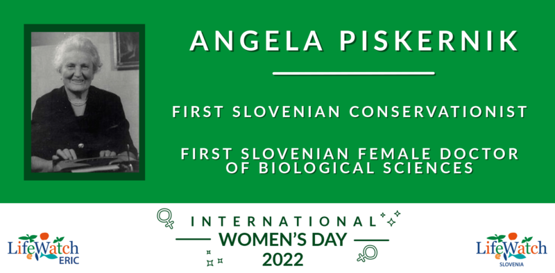 International Women's Day 2022: Angela Piskernik