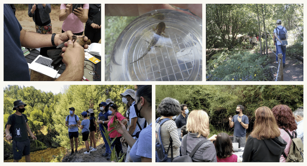 Unravelling Biodiversity in Parque das Serras do Porto￼