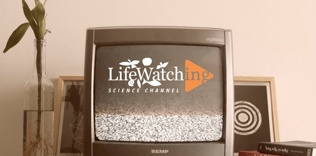 Change the Channel – LifeWatching WebTV has Landed