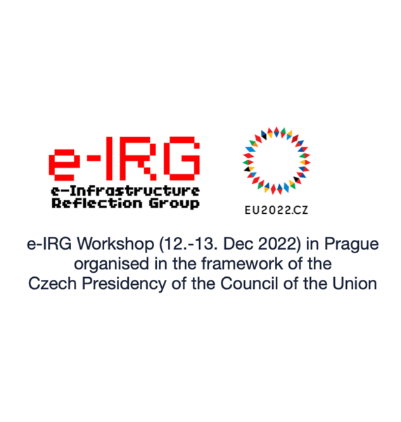 e-IRG Workshop