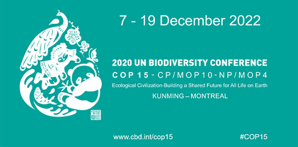 COP15