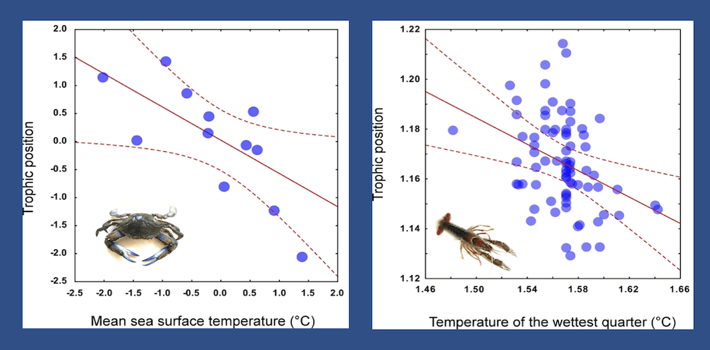 Crustaceans Workflow