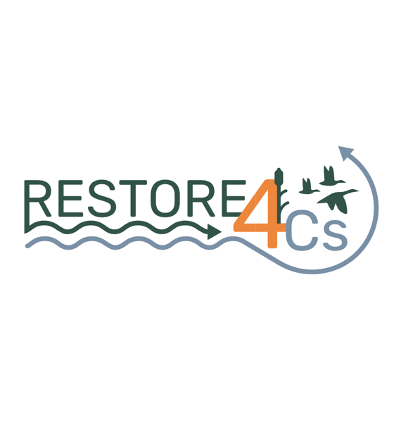 RESTORE4Cs