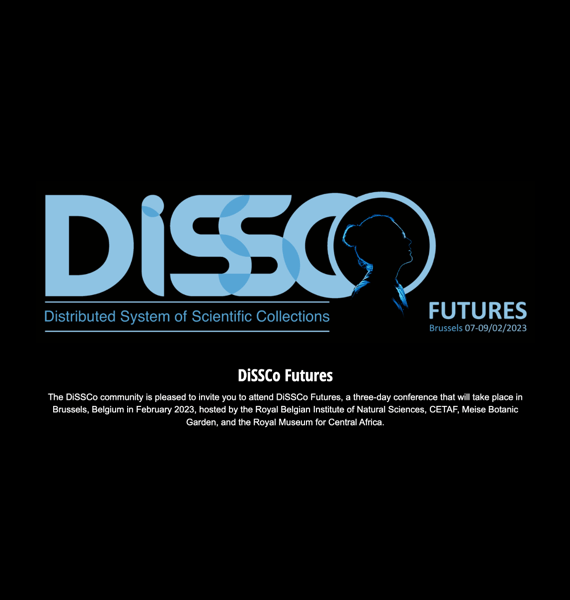 DISSCO Futures