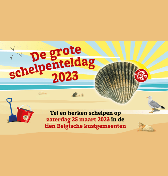 Big Seashell Survey 2023
