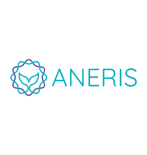 ANERIS Kick-off Meeting