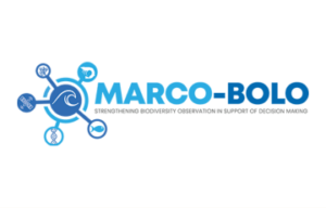 Marco-bolo project