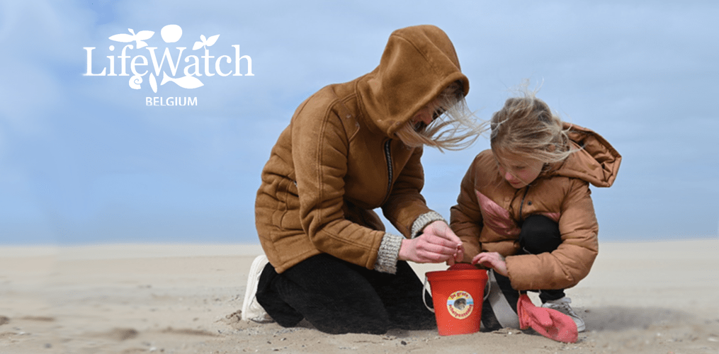 LifeWatch Belgium's Big Seashell Survey Takes Off in France