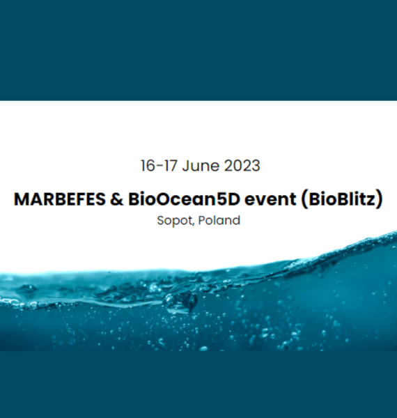 Marbefes Bioblitz