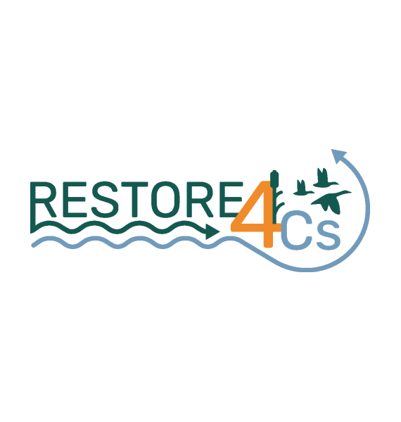 RESTORE4Cs 2nd GA in Klaipeda