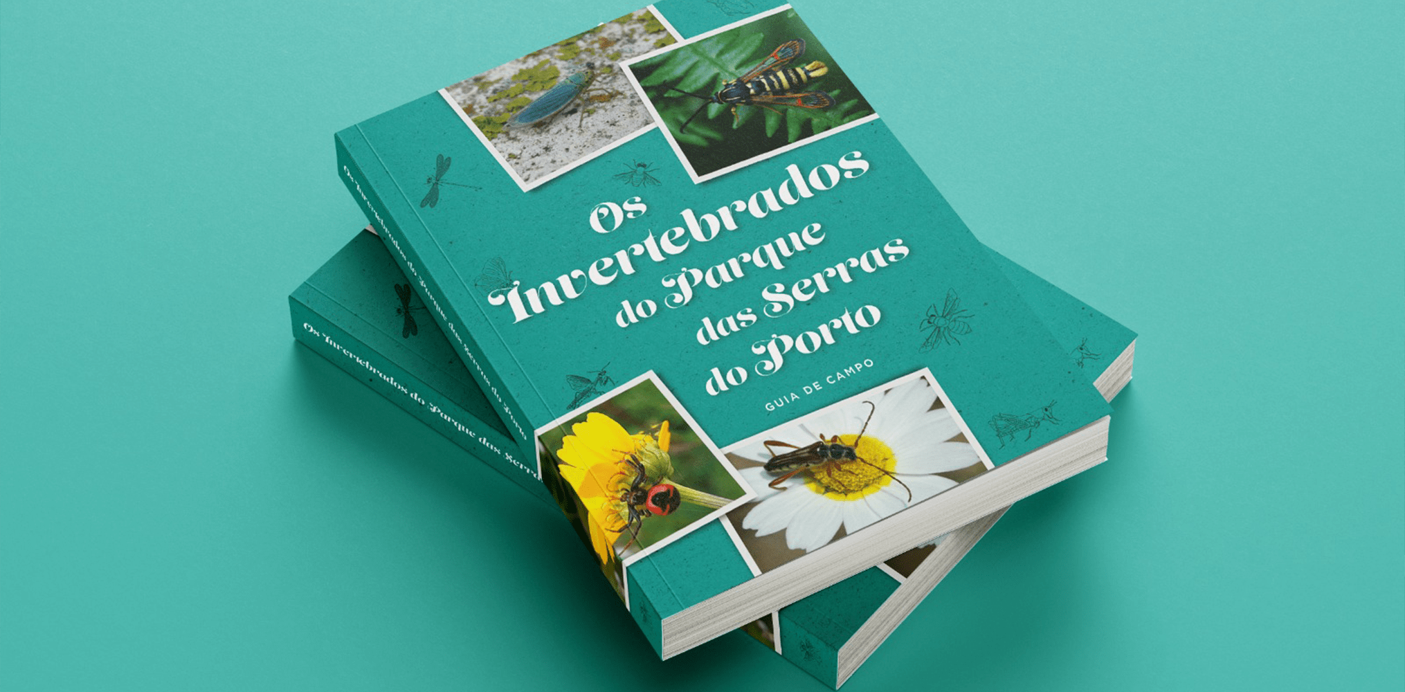 A Dive into Parque das Serras do Porto's Invertebrate Habitats