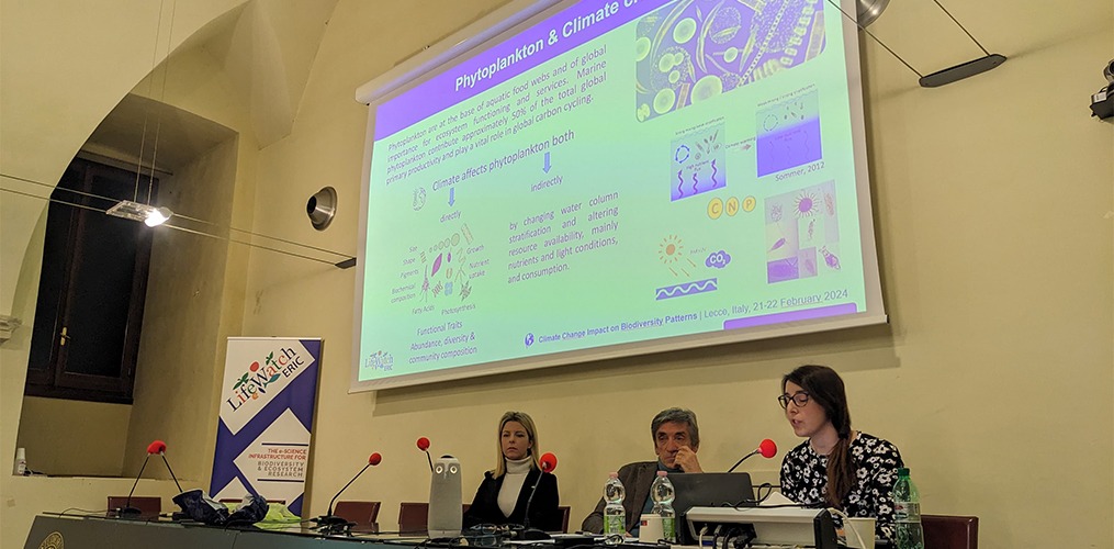 Thematic workshop: LifeWatch ERIC explores climate change impacts on biodiversity