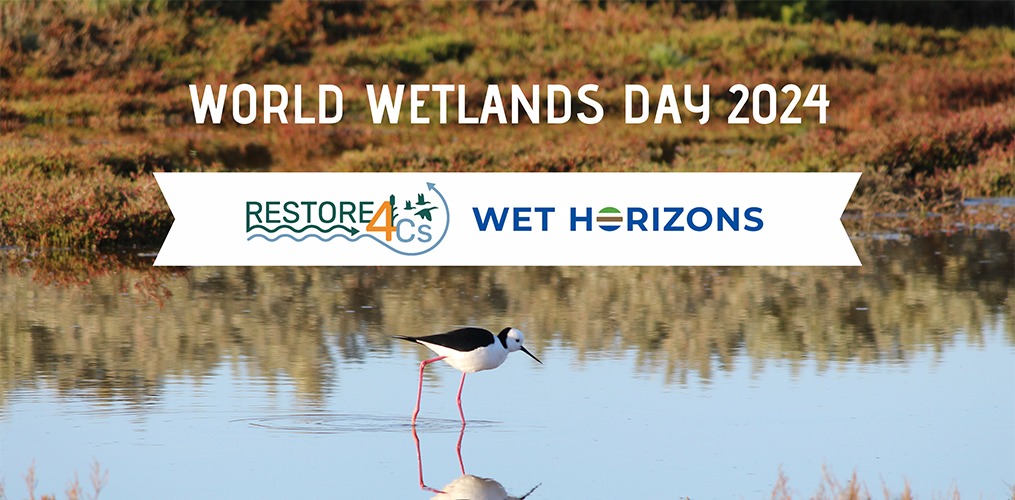 World Wetlands Day: How our wellbeing relies on restoring wetlands