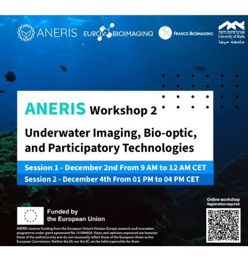 ANERIS workshop