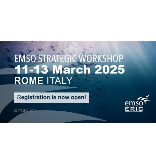 EMSO Strategic Workshop