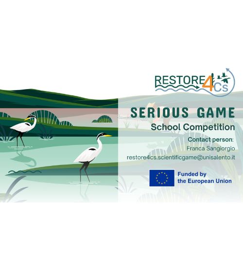 school competition on coastal wetlands
