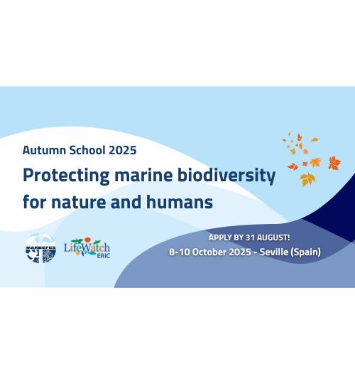 MARBEFES Autumn School