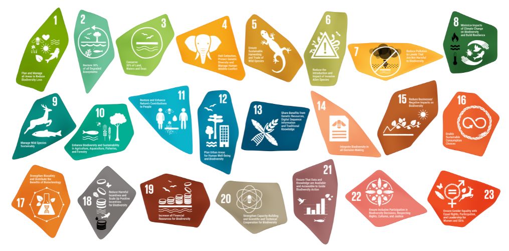 Kunming-Montreal Global Biodiversity Framework targets