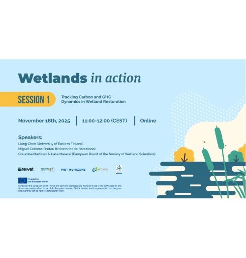 Wetlands in action