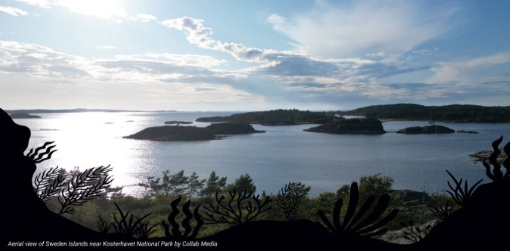 DTO BioFlow Press Release