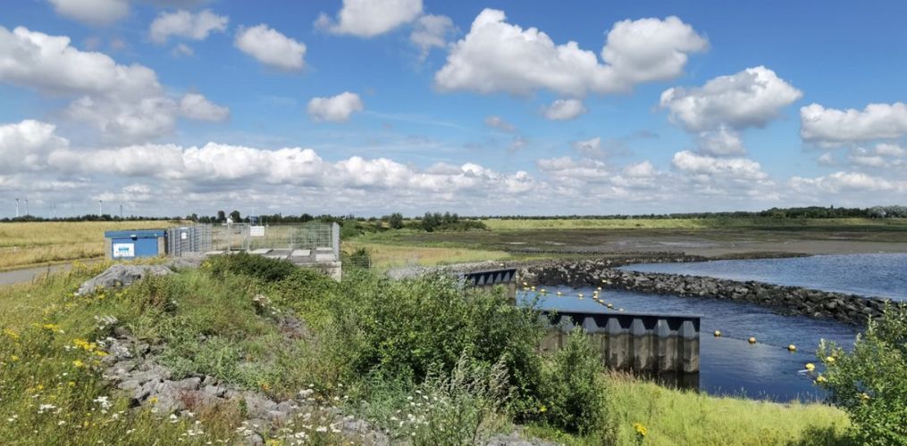 RESTORE4Cs Policy Brief 4-5