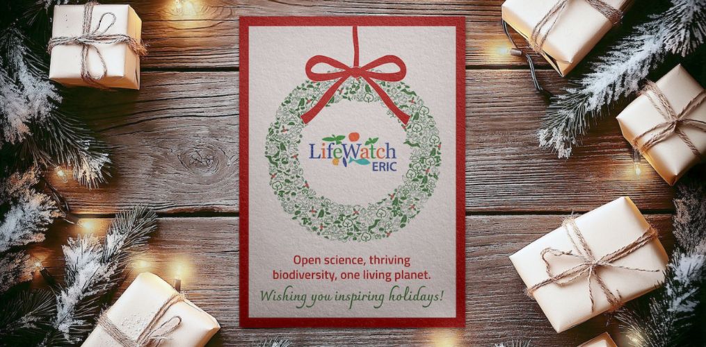 Season's Greetings 2025