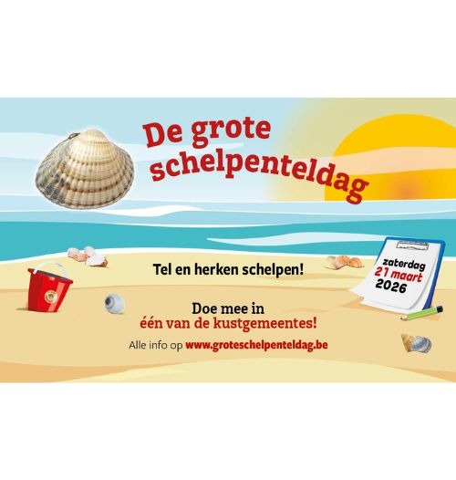 Big Seashell Survey 2026 (1)