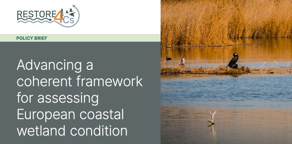 RESTORE4Cs Policy Briefs 8-9