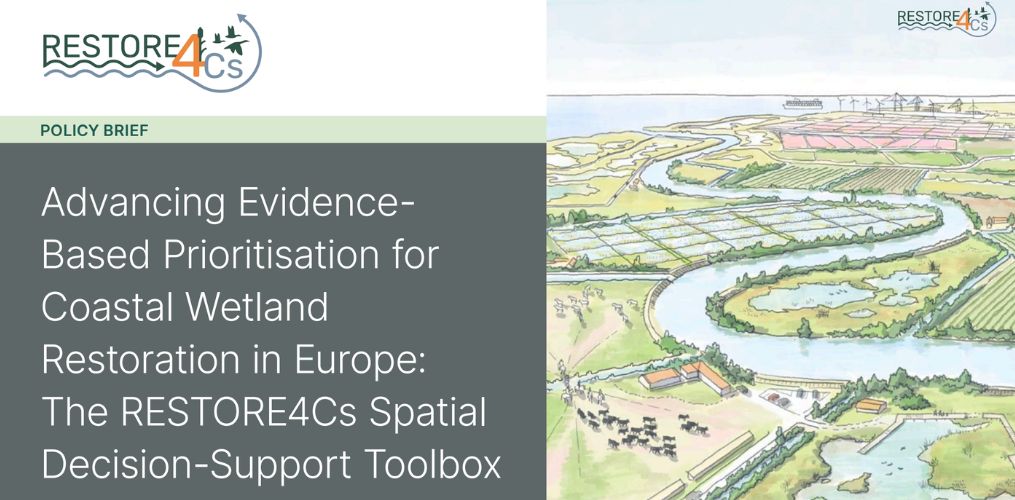 RESTORE4Cs Policy Brief 10