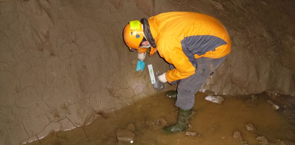 Are cave-sediment bacteria reacting to climate change?
