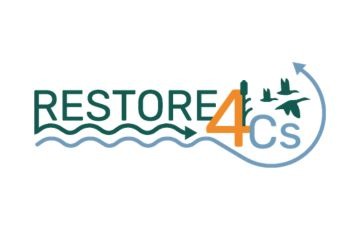 RESTORE4Cs