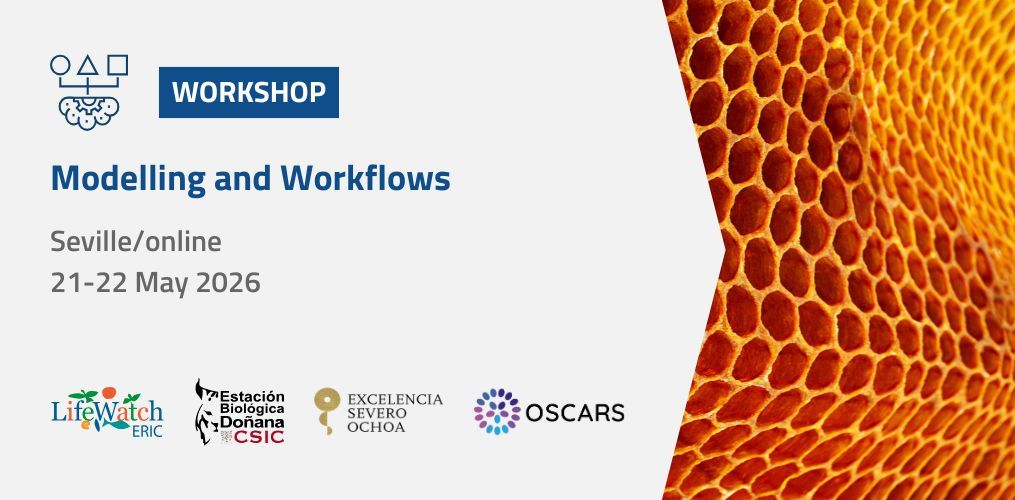 Modelling and Workflows Workshop (3)