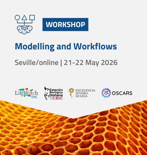 Workshop Modelling and Workflows