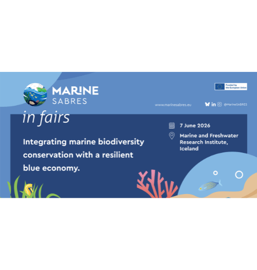 Marine SABRES in Fairs - Iceland